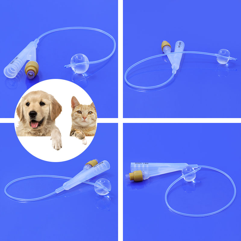 dog urinary catheter