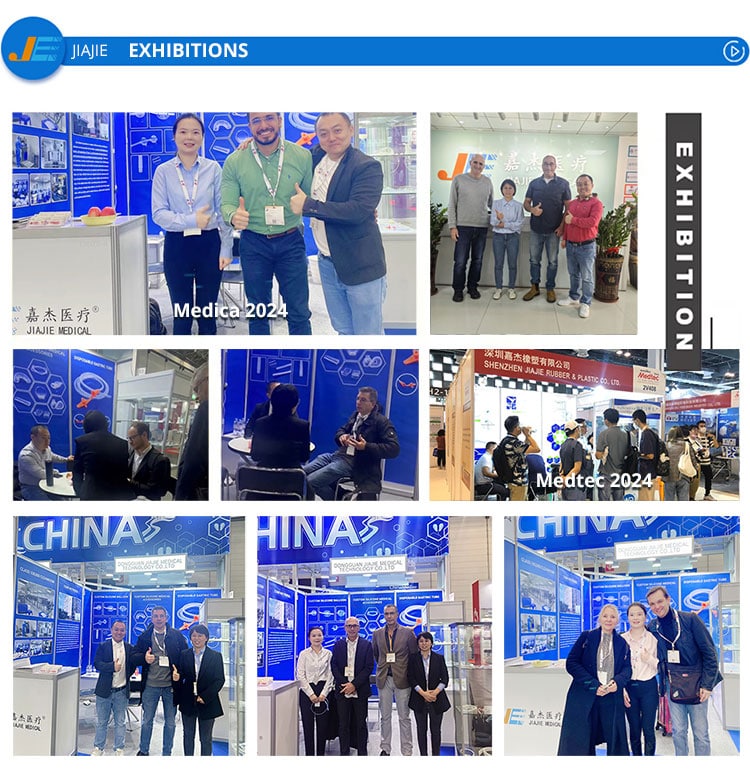 exhibition history