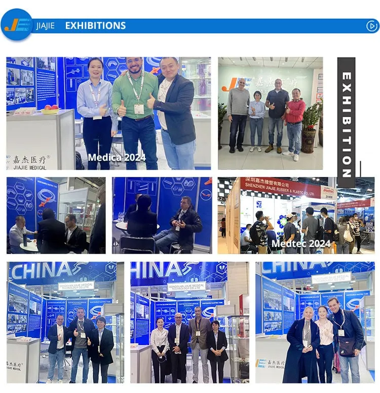 exhibition history
